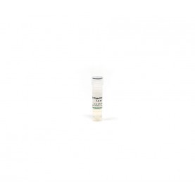 Zymo Research R1007-1 RNA Digestion Buffer