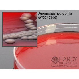 Hardy Diagnostic A12 Dry Culture Media, Blood Agar w/ Ampicillin Plate,  60 Day Shelf Life (Pack of 10)