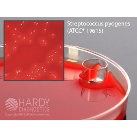 Hardy Diagnostic A150 Dry Culture Media, StrePlate Plate,  90 Day Shelf Life (Pack of 10)