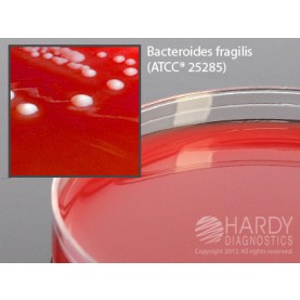 Hardy Diagnostic A30 Dry Culture Media, Brucella Agar w/ H&K Plate,  90 Day Shelf Life (Pack of 10)