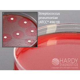 Hardy Diagnostic A59 Dry Culture Media, Mueller Hinton Agar w/ Blood Plate,  70 Day Shelf Life (Pack of 10)