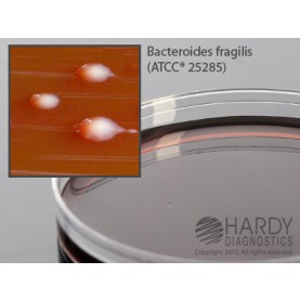 Hardy Diagnostic A60 Dry Culture Media, LKV Agar Plate,  90 Day Shelf Life (Pack of 10)