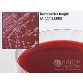 Hardy Diagnostic A62 Dry Culture Media, Neomycin Anaerob Bld Agar Plate,  90 Day Shelf Life (Pack of 10)