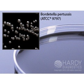 Hardy Diagnostic A63 Dry Culture Media, Regan Lowe w/o Cephalexin Plate,  70 Day Shelf Life (Pack of 10)