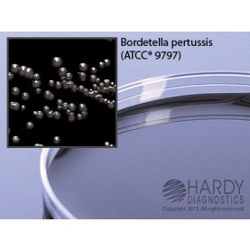 Hardy Diagnostic A65 Dry Culture Media, Regan-Lowe Agar Plate,  70 Day Shelf Life (Pack of 10)