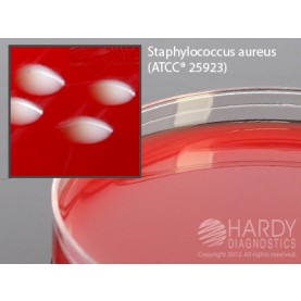 Hardy Diagnostic A66 Dry Culture Media, Rose Agar (CNA+PEA) Plate,  90 Day Shelf Life (Pack of 10)