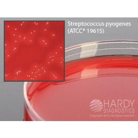 Hardy Diagnostic A70 Dry Culture Media, Selective Strep Agar Plate,  90 Day Shelf Life (Pack of 10)