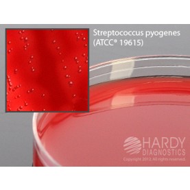 Hardy Diagnostic A72 Dry Culture Media, Group A Beta Strep Agar Plate,  90 Day Shelf Life (Pack of 10)