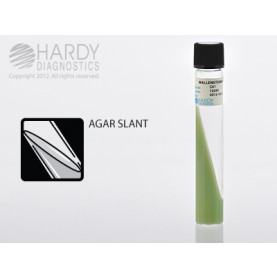 Hardy Diagnostic C61 Liquid Culture Media, Wallenstein Slant Tube,  365 Day Shelf Life (Pack of 20)