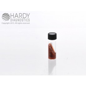 Hardy Diagnostic D14 Liquid Culture Media, Choc. Agar Slant  Tube,  1.8 mL, 180 Day Shelf Life (Pack of 10)