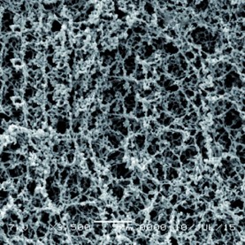 GVS Life Sciences 3052874 Hydrophilic Cellulose Acetate (CA) Filter Membrane 0.45 µm, 50 mm (100/Pack)