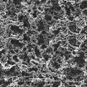 GVS Life Sciences 3053377 Hydrophilic Nitrocellulose Filter Membrane 8 µm, 47 mm (100/Pack)