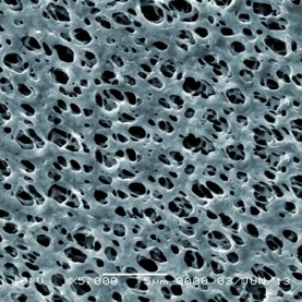 GVS Life Sciences 3052148 Hydrophilic Nylon Filter Membrane 0.65 µm, (1/Pack)