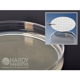 Hardy Diagnostic G03 Dry Culture Media, R2A Agar Plate,  90 Day Shelf Life (Pack of 10)