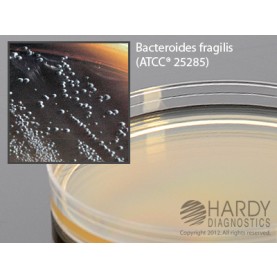 Hardy Diagnostic G05 Dry Culture Media, BBE Agar Plate,  90 Day Shelf Life (Pack of 10)