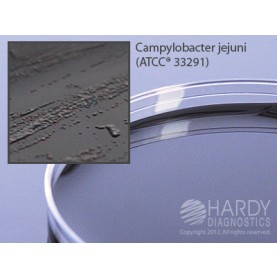 Hardy Diagnostic G06 Dry Culture Media, Campy Plate,  100 Day Shelf Life (Pack of 10)