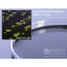 Hardy Diagnostic G07 Dry Culture Media, BCYE Agar Plate,  120 Day Shelf Life (Pack of 10)