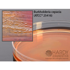 Hardy Diagnostic G09 Dry Culture Media, BCSA Plate,  90 Day Shelf Life (Pack of 10)
