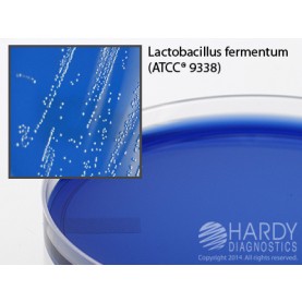 Hardy Diagnostic G10 Dry Culture Media, HHD Medium Plate,  90 Day Shelf Life (Pack of 10)