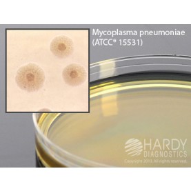 Hardy Diagnostic G105 Dry Culture Media, PPLO Selective Agar Plate,  90 Day Shelf Life (Pack of 10)