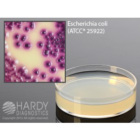 Hardy Diagnostic G106 Dry Culture Media, Modified m TEC Agar Plate,  90 Day Shelf Life (Pack of 10)