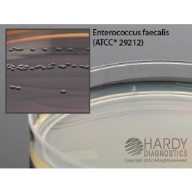 Hardy Diagnostic G11 Dry Culture Media, Bile Esculin Azide Agar Plate,  90 Day Shelf Life (Pack of 10)