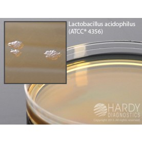 Hardy Diagnostic G117 Dry Culture Media, Lactobacilli MRS Agar Plate,  90 Day Shelf Life (Pack of 10)