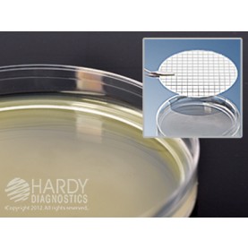 Hardy Diagnostic G124 Dry Culture Media, mEI Agar Plate,  45 Day Shelf Life (Pack of 10)