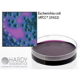 Hardy Diagnostic G126 Dry Culture Media, m FC w/ 1% Rosolic Acid Plate,  90 Day Shelf Life (Pack of 10)