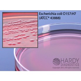 Hardy Diagnostic G129 Dry Culture Media, CT-SMAC for E. coli 0157 Plate,  60 Day Shelf Life (Pack of 10)