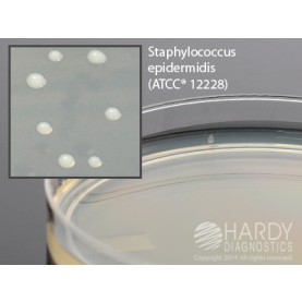 Hardy Diagnostic G13 Dry Culture Media, Standard Methods Agar Plate w/ Lid,  120 Day Shelf Life (Pack of 10)