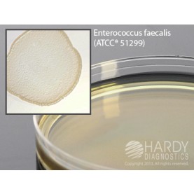 Hardy Diagnostic G14 Dry Culture Media, BHI Agar w/ Vancomycin Plate,  60 Day Shelf Life (Pack of 10)