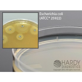 Hardy Diagnostic G146 Liquid Culture Media, Mueller Hinton Agar Plate,  10 mL, 60 Day Shelf Life (Pack of 10)