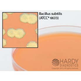 Hardy Diagnostic G147 Dry Culture Media, MYP Agar Plate,  90 Day Shelf Life (Pack of 10)