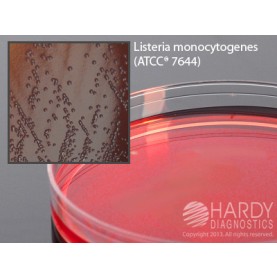 Hardy Diagnostic G149 Dry Culture Media, PALCAM Plate,  90 Day Shelf Life (Pack of 10)