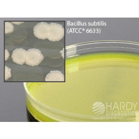 Hardy Diagnostic G156 Dry Culture Media, Bacillus Cereus Sel Agar Plate,  90 Day Shelf Life (Pack of 10)