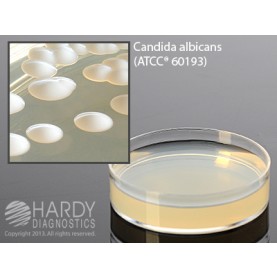 Hardy Diagnostic G159 Dry Culture Media, Sabdex Agar w/ G & C Plate,  90 Day Shelf Life (Pack of 10)