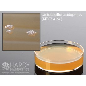 Hardy Diagnostic G179 Dry Culture Media, Lactobacilli MRS w/ Cyc Plate,  90 Day Shelf Life (Pack of 10)