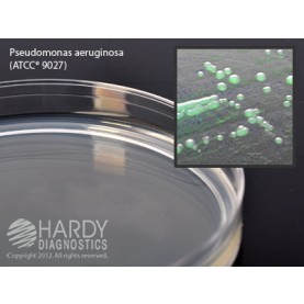 Hardy Diagnostic G18 Dry Culture Media, Cetrimide Select Agar USP Plate,  70 Day Shelf Life (Pack of 10)