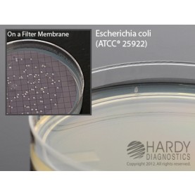 Hardy Diagnostic G195 Dry Culture Media, m HPC Agar Plate,  90 Day Shelf Life (Pack of 10)