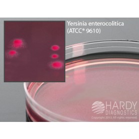 Hardy Diagnostic G20 Dry Culture Media, CIN Agar (Yersinia) Plate,  90 Day Shelf Life (Pack of 10)