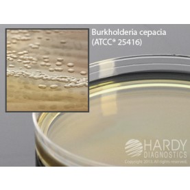 Hardy Diagnostic G201 Dry Culture Media, Pseudomonas Agar P Plate,  90 Day Shelf Life (Pack of 10)