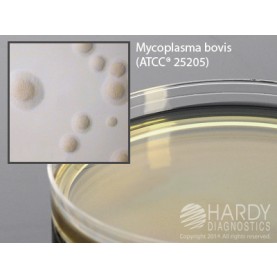 Hardy Diagnostic G212 Dry Culture Media, Mycoplasma wCefoperazone Plate,  90 Day Shelf Life (Pack of 10)