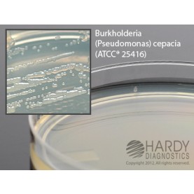 Hardy Diagnostic G219 Dry Culture Media, Pseudomas Isolation Agar Plate,  90 Day Shelf Life (Pack of 10)