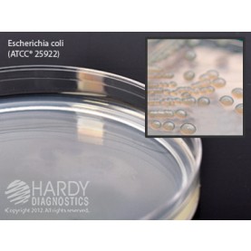 Hardy Diagnostic G221 Dry Culture Media, Mod Letheen Ag Plate,  90 Day Shelf Life (Pack of 10)