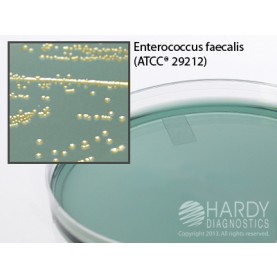 Hardy Diagnostic G223 Dry Culture Media, CLED Agar Plate,  90 Day Shelf Life (Pack of 10)