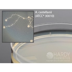 Hardy Diagnostic G225 Dry Culture Media, Non-Nutrient Agar Plate,  120 Day Shelf Life (Pack of 10)