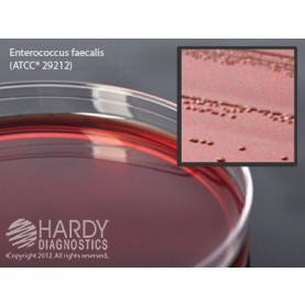 Hardy Diagnostic G25 Dry Culture Media, EMB Levine Agar Plate,  90 Day Shelf Life (Pack of 10)