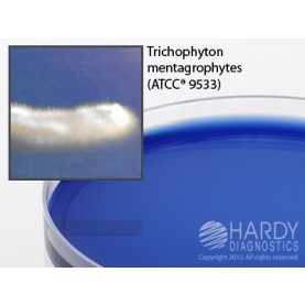 Hardy Diagnostic G265 Dry Culture Media, ETA w/ Antibiotics Plate,  70 Day Shelf Life (Pack of 10)