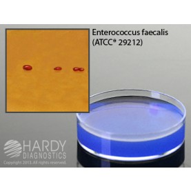 Hardy Diagnostic G276 Dry Culture Media, KF Streptococcus Agar Plate,  90 Day Shelf Life (Pack of 10)